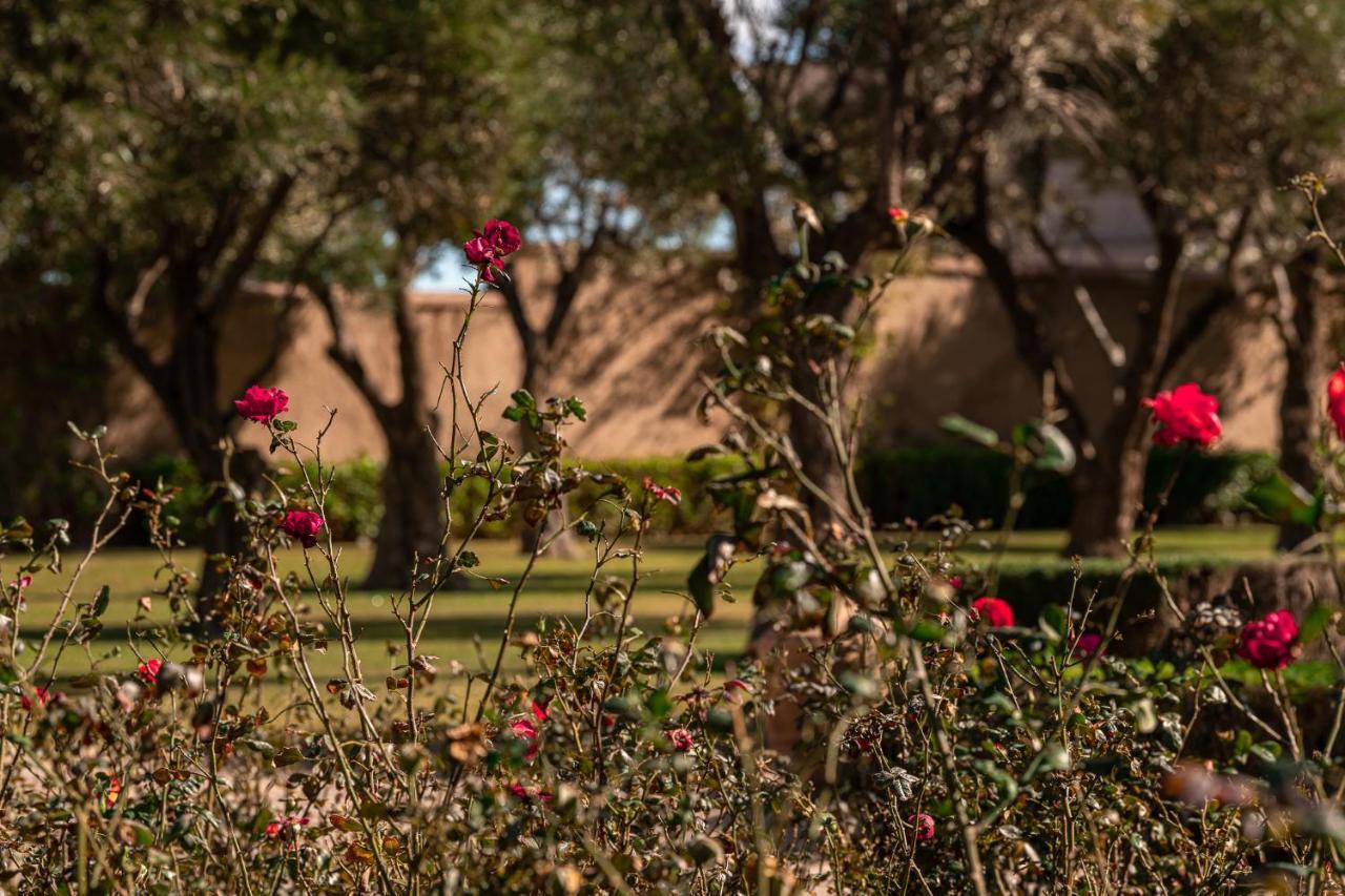 Le Palais Paysan Bed & Breakfast 4*